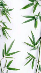 Naklejka premium Detailed view of a bamboo plant featuring leaves and trunks, set against a clean white background.