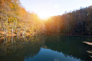 A beautiful autumn day with a river and trees. The leaves are changing colors and the water is calm