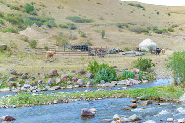 traditional Kazakh nomadic lifestyle in a shepherd's yurt. breathtaking mountain views while...