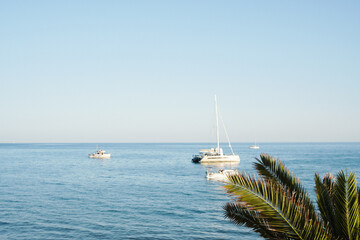 Sea background with palm trees nearby and yachts in the distance