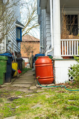 Fototapeta na wymiar Green gardening: A rain collection barrel in a Toronto garden sits connected rain gutter down spout and a watering hose. Shot in the Toronto's Beaches neighbourhood in spring room for text