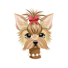 cartoon vector fashionable Yorkshire terrier, portrait of a dog on a white background