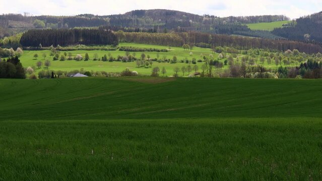 the landscape of the german sauerland in spring 4k 25fps video