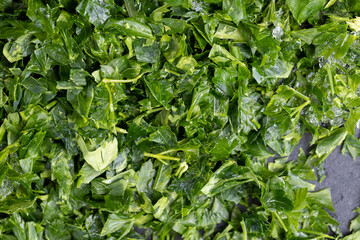 frozen for storing green spice parsley on the table