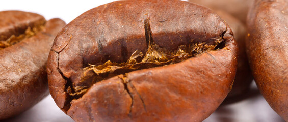 close up of coffee bean. Panoramic view