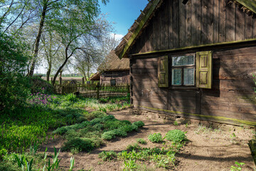 Fototapeta na wymiar Stara drewniana chatka na wsi w otoczeniu naturalnej przyrody
