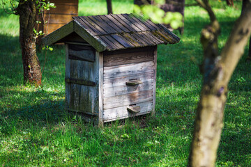 Stare drewniane ule, pszczelarstwo na wsi - obrazy, fototapety, plakaty