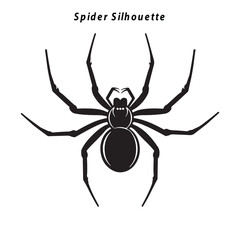 spider silhouette
