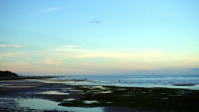 At low tide, people collect algae and mollusks and arthropods, crabs run to the shallows