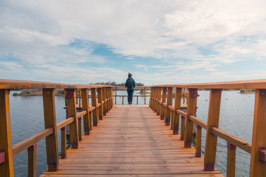 Serene moment at Tablas de Daimiel National Park boardwalk