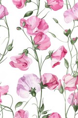 Fototapeta premium watercolor illustration of pink sweet pea flowers on white background, summer botanical vertical pattern for background, wallpaper, fabric and textile