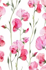 watercolor illustration of pink sweet pea flowers on white background, summer botanical vertical pattern for background, wallpaper, fabric and textile