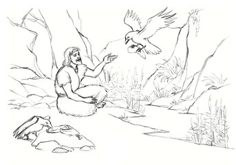 Pencil drawing. Elijah and the crows