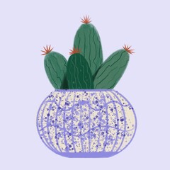 Cactus in a vase