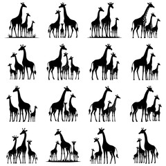 Minimalist Giraffe family complete black silhouette vector drawing set, Side view, set of graphics Giraffe elements outline symbol illustration