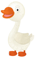 cartoon scene with goose bird animal isolated background illustration for children