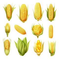 corn isolated on white