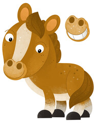 cartoon scene with horse stallion pony farm animal isolated background illustration for children