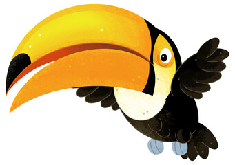 Obraz premium Cartoon animal happy tropical bird toucan isolated background illustration for children