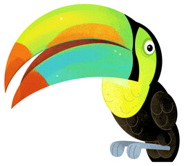 Obraz premium Cartoon animal happy tropical bird toucan isolated background illustration for children