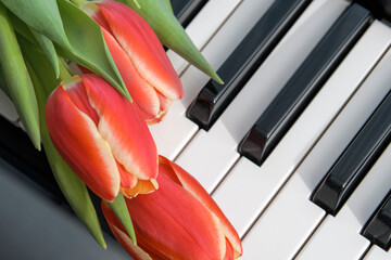 Close up on a keyboard are three red tulips.