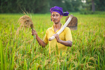 indian farmer holding a garden hoe agricultural equipment and standing in a field