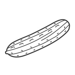 Linear icon of a cucumber. Black and white vector illustration.