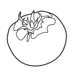 Linear icon of a tomato. Black and white vector illustration.