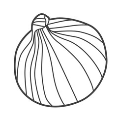 Linear icon of an onion. Black and white vector illustration.