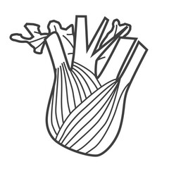 Linear icon of fennel. Black and white vector illustration.