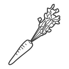 Linear icon of a carrot. Black and white vector illustration.