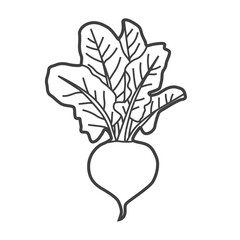 Linear icon of a beet. Black and white vector illustration.