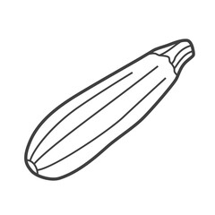 Linear icon of zucchini or vegetable marrow. Black and white vector illustration.