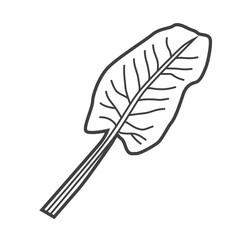 Linear icon of Swiss chard. Black and white vector illustration.