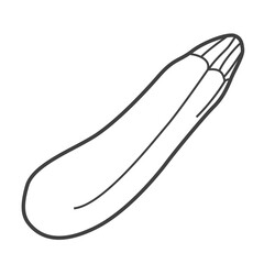 Linear icon of zucchini. Black and white vector illustration.