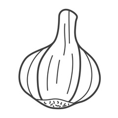 Linear icon of garlic. Black and white vector illustration.