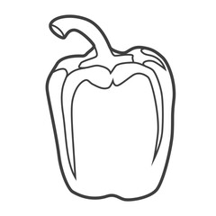 Linear icon of a pepper. Black and white vector illustration.