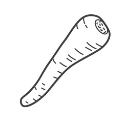 Linear icon of parsnip. Black and white vector illustration.