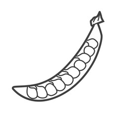 Linear icon of peas. Black and white vector illustration.