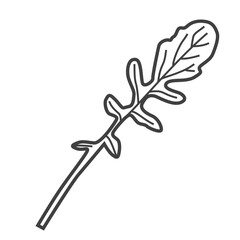 Linear icon of arugula. Black and white vector illustration.