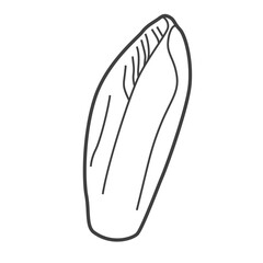 Linear icon of endive. Black and white vector illustration.