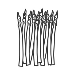 Linear icon of asparagus. Black and white vector illustration.