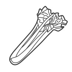 Linear icon of celery. Black and white vector illustration.