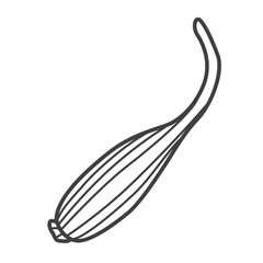 Linear icon of shallot. Black and white vector illustration.