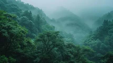 Fotobehang A serene, lush green forest enveloped in mist, showcasing the beauty of nature and calmness amid the layered canopy of trees under a soft daylight © Matthew