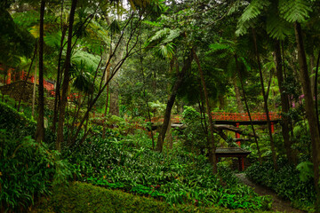 Template for a tourist travel postcard. Wallpaper of Monte Palace Tropical Gardens in Madeira, Funchal. Popular tourist botanical park at Madeira island, Portugal. - 785730498