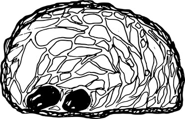 Pain au chocolat french pastries sweets hand drawn vector illustration for poster, print, home decoration, menu cover, invitation, design template. 