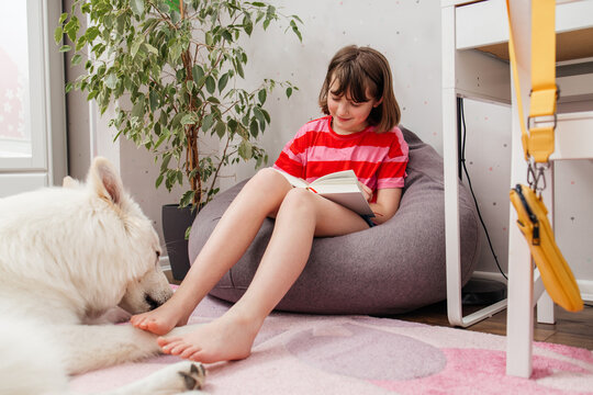 A teenage girl sits on an ottoman in her room and reads a book, next to her lies a dog, a white Swiss shepherd. Reading books as a hobby