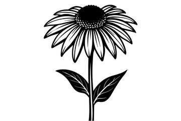 echinacea silhouette vector illustration - obrazy, fototapety, plakaty