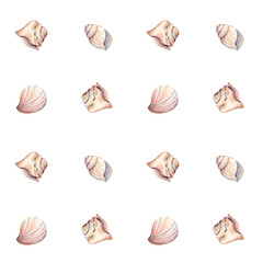 Seamless pattern with sea shells
